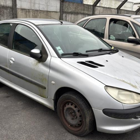 Mastervac PEUGEOT 206