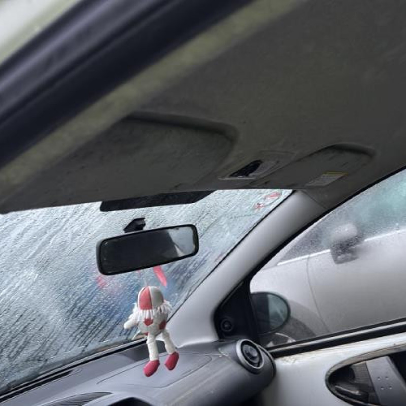 Pulseur d'air CITROEN C1 1 Photo n°16