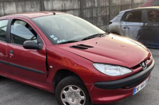 Mastervac PEUGEOT 206 Photo n°1