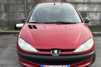Mastervac PEUGEOT 206