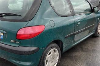 Mastervac PEUGEOT 206