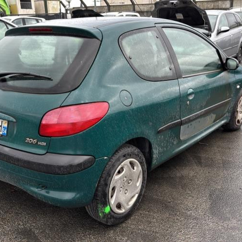 Mastervac PEUGEOT 206 Photo n°3