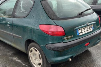 Mastervac PEUGEOT 206