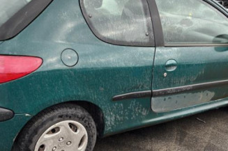 Mastervac PEUGEOT 206