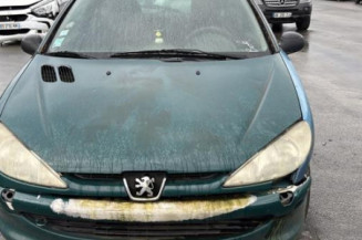Mastervac PEUGEOT 206