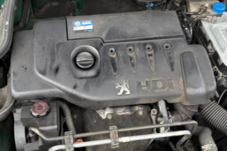 Mastervac PEUGEOT 206