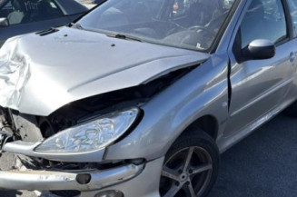 Mastervac PEUGEOT 206