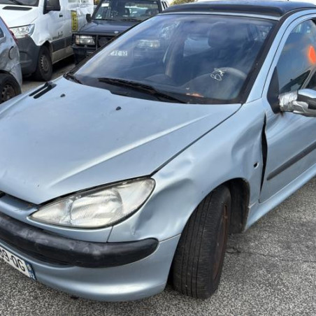 Mastervac PEUGEOT 206 Photo n°1
