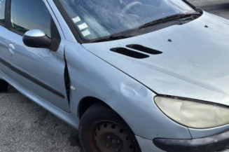 Mastervac PEUGEOT 206