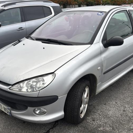 Mastervac PEUGEOT 206 Photo n°1