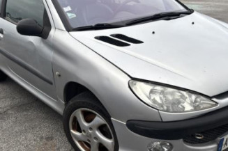 Mastervac PEUGEOT 206