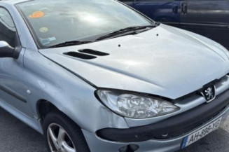 Mastervac PEUGEOT 206