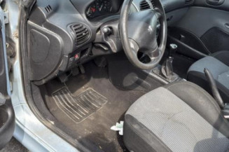 Mastervac PEUGEOT 206