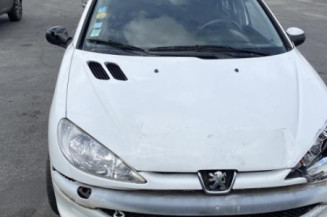 Compteur PEUGEOT 206