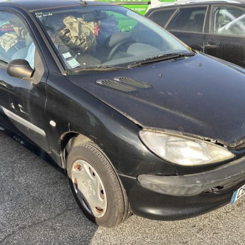 Mastervac PEUGEOT 206 Photo n°2