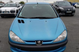 Mastervac PEUGEOT 206 Photo n°1