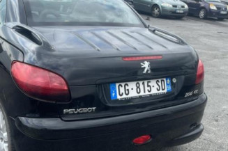 Mastervac PEUGEOT 206 Photo n°1