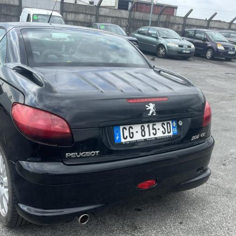 Mastervac PEUGEOT 206 Photo n°1