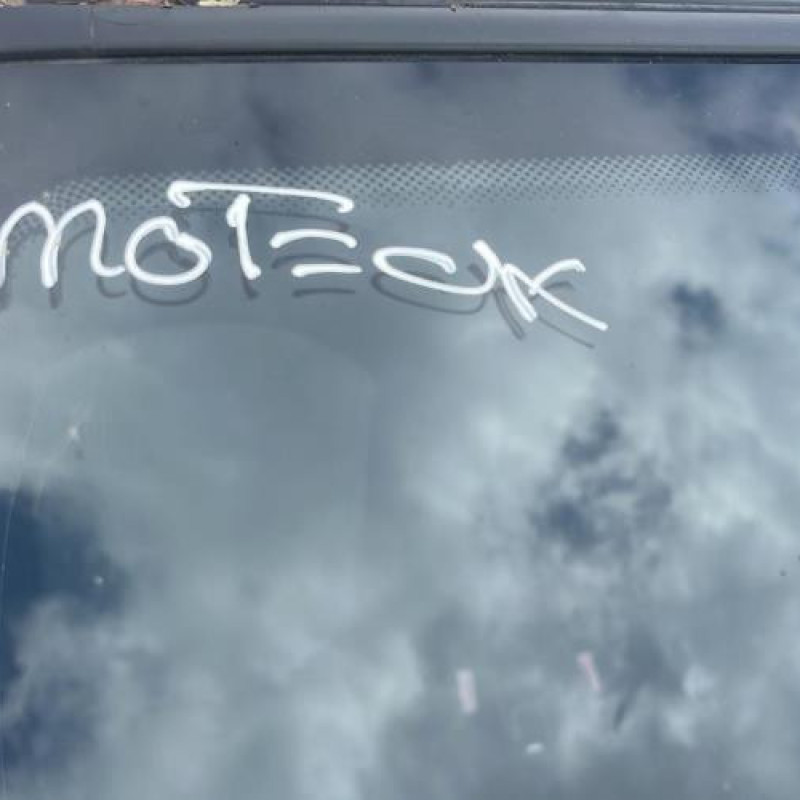 Mastervac PEUGEOT 206 Photo n°3