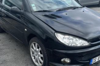 Mastervac PEUGEOT 206