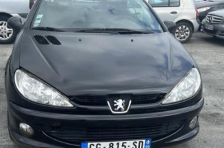 Mastervac PEUGEOT 206