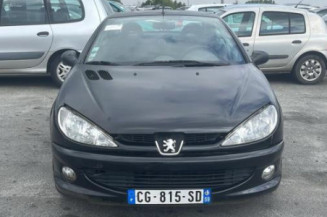 Mastervac PEUGEOT 206