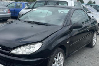 Mastervac PEUGEOT 206