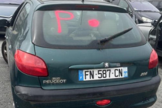 Mastervac PEUGEOT 206