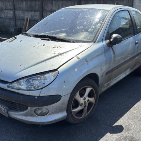 Mastervac PEUGEOT 206 Photo n°1