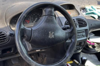 Mastervac PEUGEOT 206