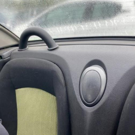 Mastervac PEUGEOT 206