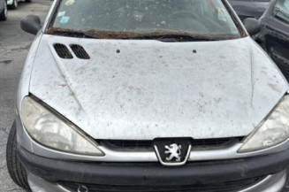 Mastervac PEUGEOT 206