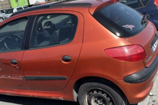 Mastervac PEUGEOT 206