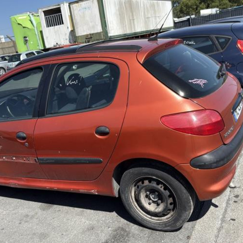 Mastervac PEUGEOT 206 Photo n°17