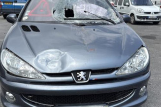 Baguette de coffre PEUGEOT 206