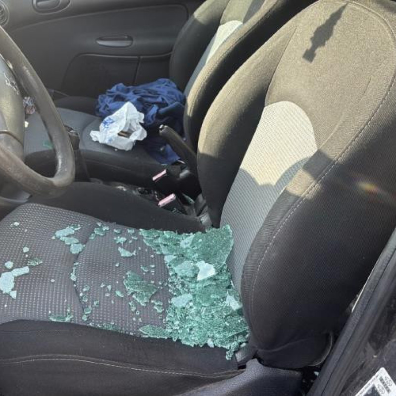 Compteur PEUGEOT 206 Photo n°11