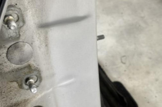 Porte arriere droit RENAULT LAGUNA 3