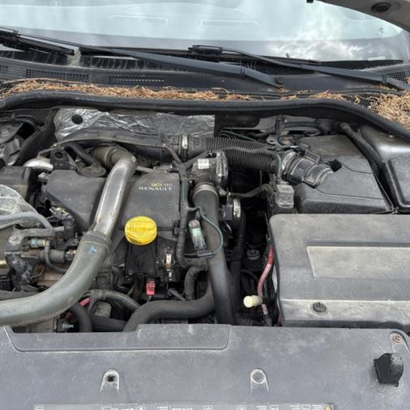 Porte arriere droit RENAULT LAGUNA 3 Photo n°17