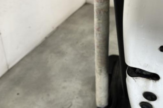 Porte arriere droit CITROEN C3 3