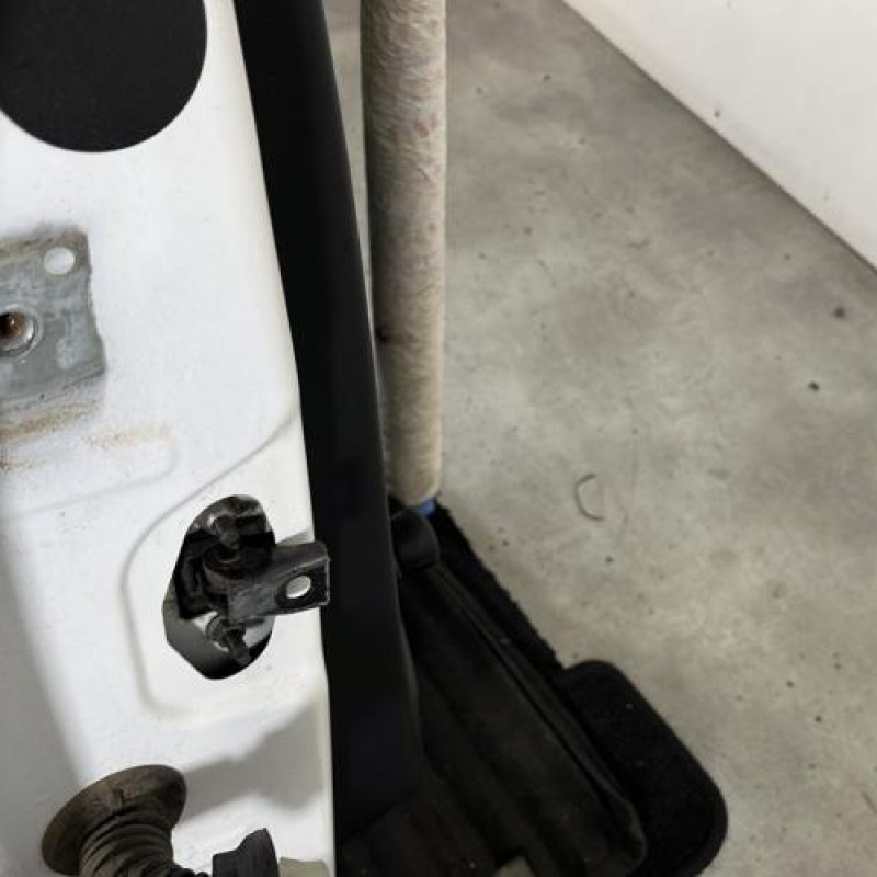 Porte arriere droit CITROEN C3 3 Photo n°4