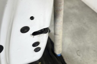 Porte arriere gauche CITROEN C3 3