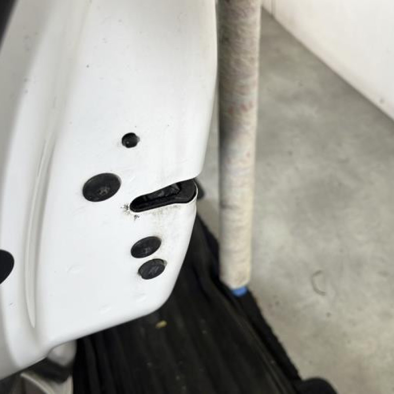 Porte arriere gauche CITROEN C3 3 Photo n°3