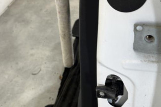 Porte arriere gauche CITROEN C3 3