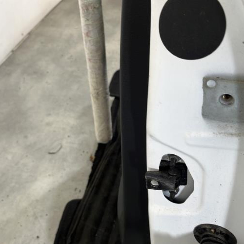 Porte arriere gauche CITROEN C3 3 Photo n°4