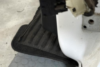 Porte arriere gauche CITROEN C3 3