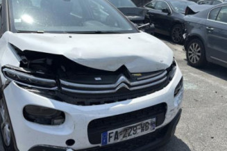 Porte arriere gauche CITROEN C3 3