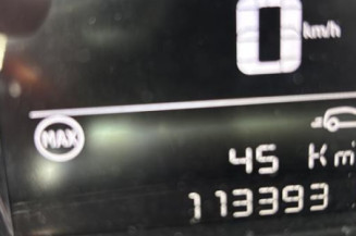 Porte arriere gauche CITROEN C3 3