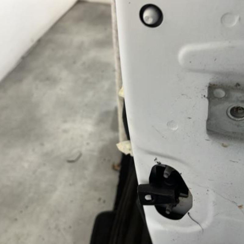 Porte avant gauche CITROEN C3 3 Photo n°4