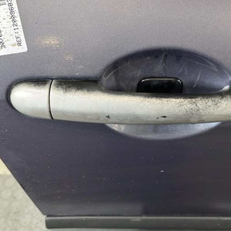 Porte avant droit RENAULT CLIO 3 Photo n°2