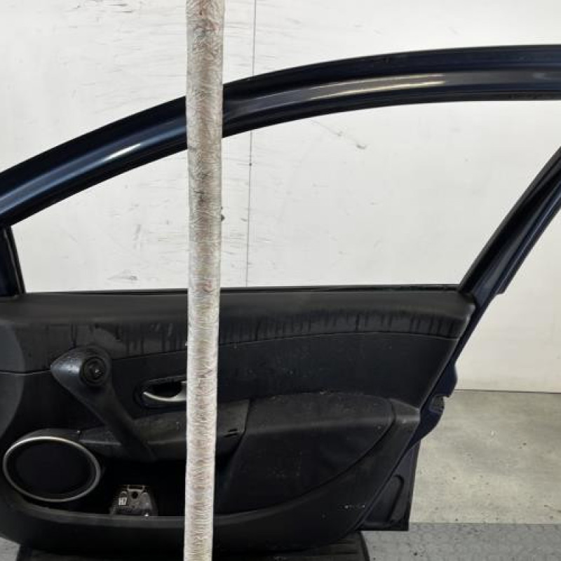 Porte avant droit RENAULT CLIO 3 Photo n°6